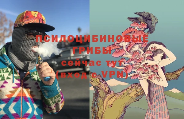 марки lsd Абаза