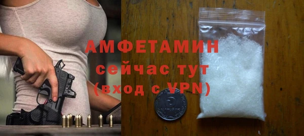 сатива Елабуга
