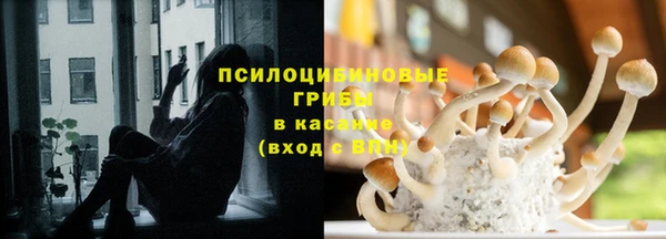 индика Алексин