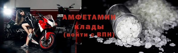 индика Алексин