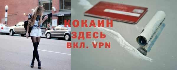 соль ск Алзамай