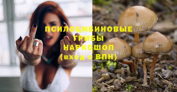 хмурый Алексеевка