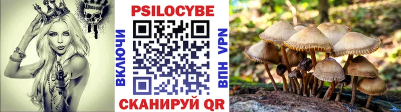 Псилоцибиновые грибы мицелий  Новотитаровская 